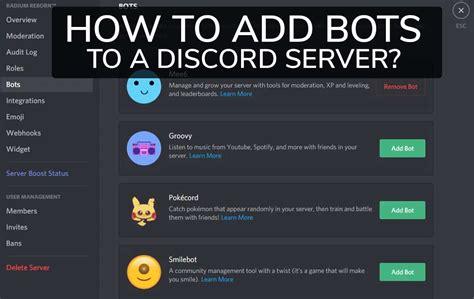 Discord Bot Directory