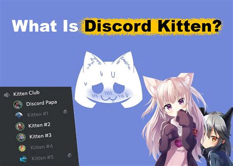 Discord Kitten About Me Template Example