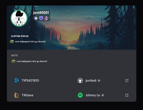 Discord Profile Ideas