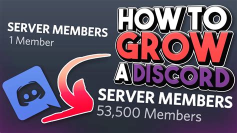 Discord Server Growth Example 4