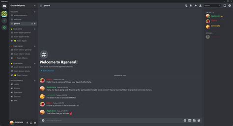 Discord Server Organization