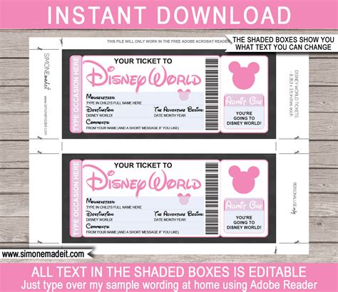 A computer screen showing a Disney ticket printable template