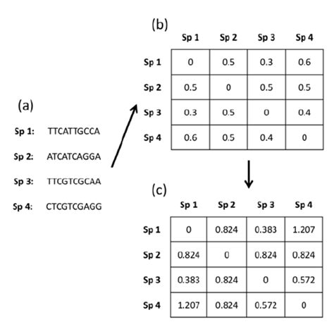 Distance Matrix Example