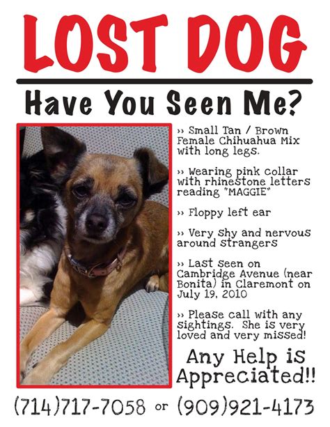 Distribute Lost Pet Poster