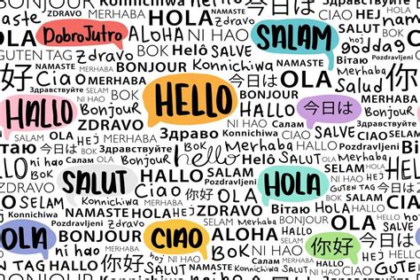 Diversity of languages and translation