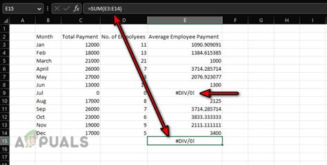 Dividing by Zero Error in Excel