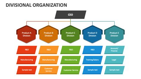 Divisional Organization Structure PPT Template