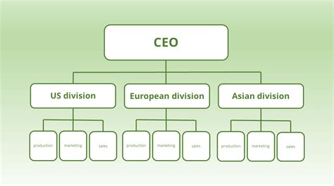 Divisional Organization Structure