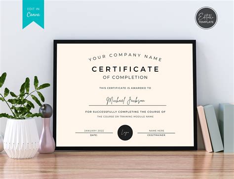 A sample DIY Build-A-Bear certificate