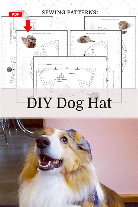 DIY Dog Hat Pattern