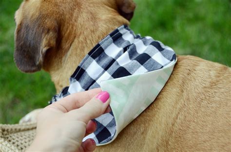 DIY Dog Scarf Pattern