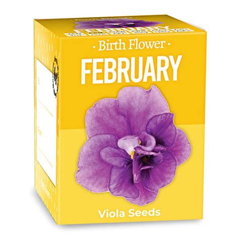 DIY February birth flowers gift