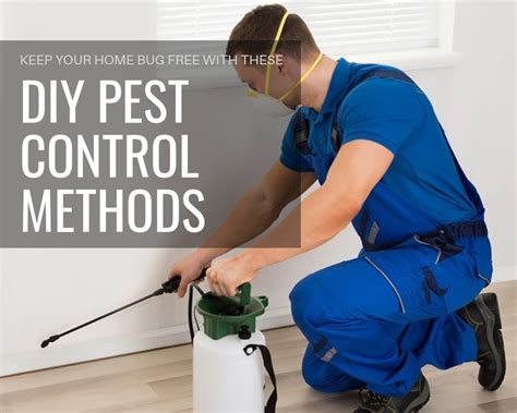 DIY Pest Control Methods