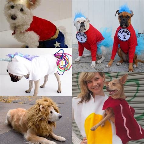 Benefits of DIY Pet Costumes