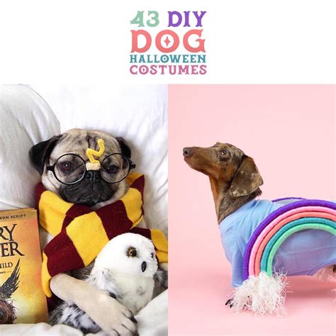 DIY Pet Costume 6