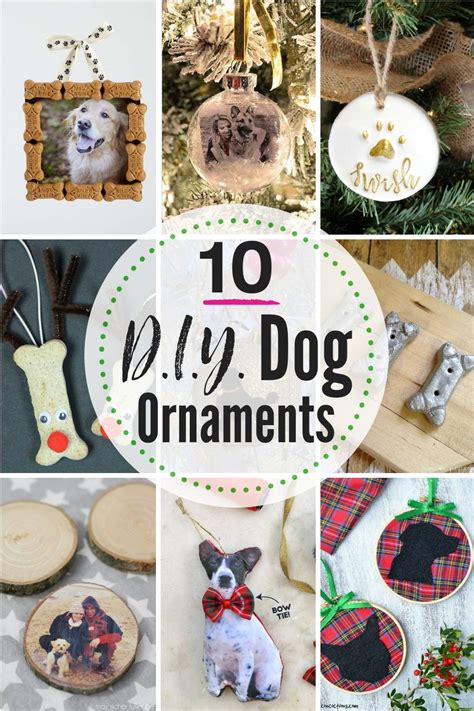 DIY Pet Ornament Ideas