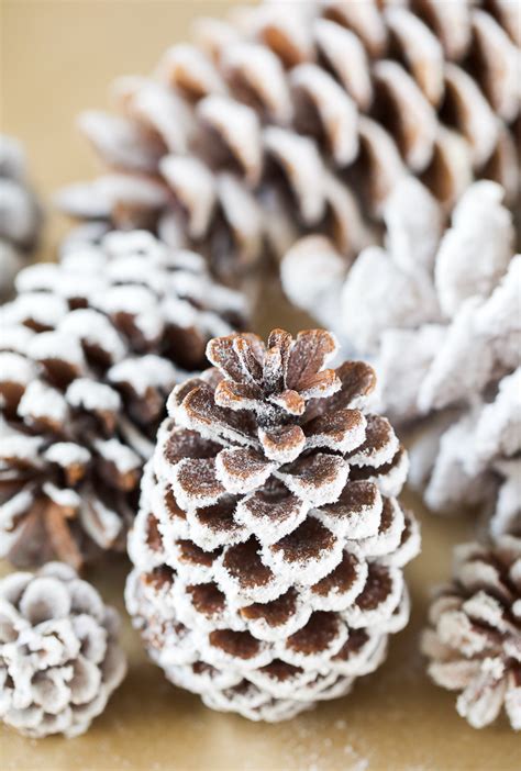 DIY Pinecone Ornaments