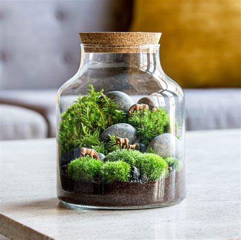 DIY terrarium flower pot