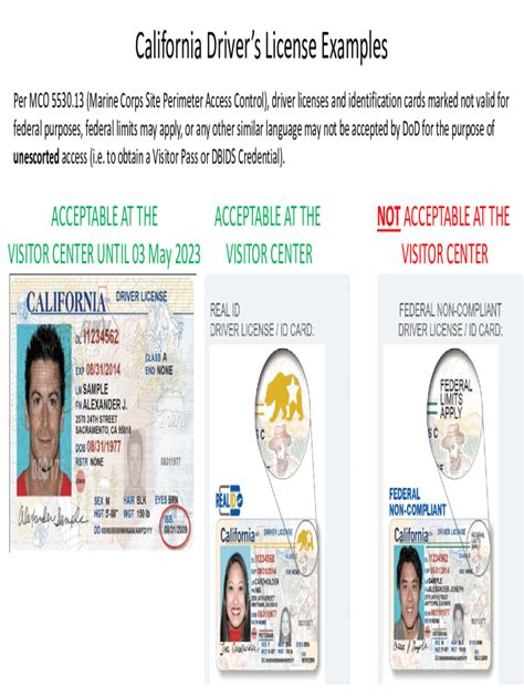 DMV License Renewal Temporary License