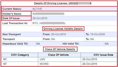 DMV Online Status Check