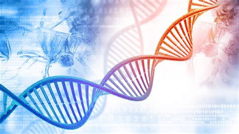 DNA Fragment Analysis