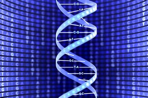 DNA helix structure