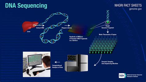 DNA Sequencing