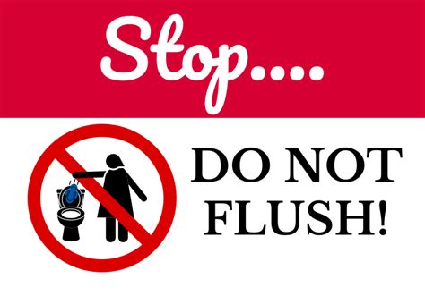 Do Not Flush Signs Template Example