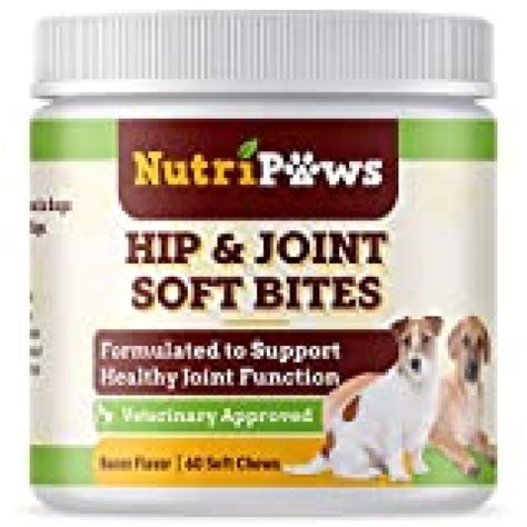 Dog Arthritis Supplement