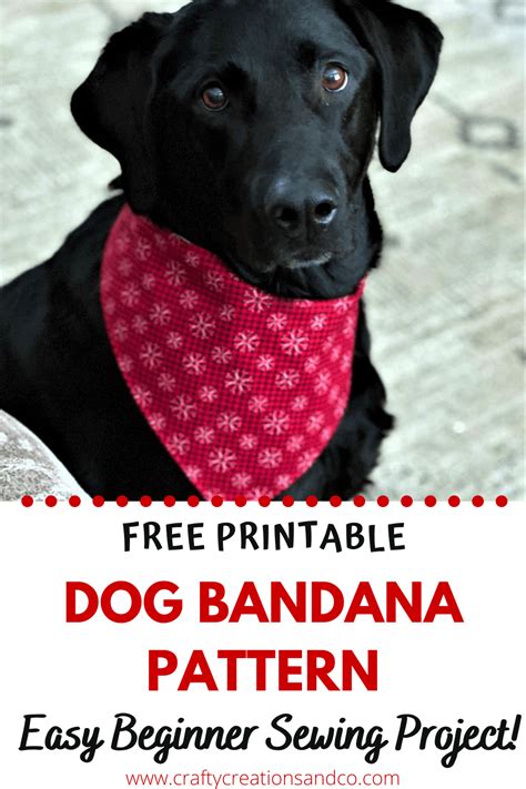 Dog Bandana Sewing Pattern