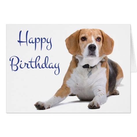 Dog birthday card ideas for beagles