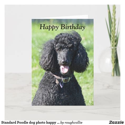 Dog birthday card ideas for poodles