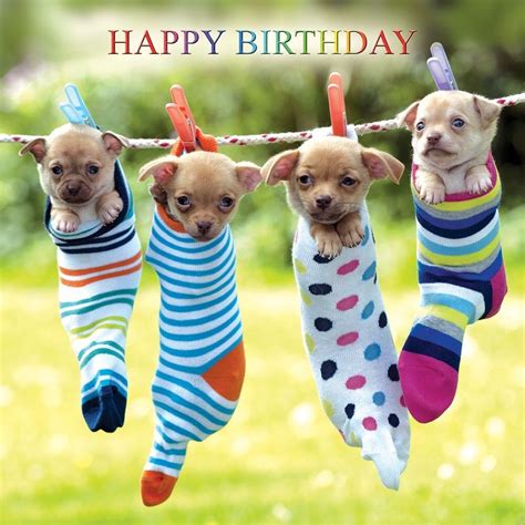 Dog birthday cards