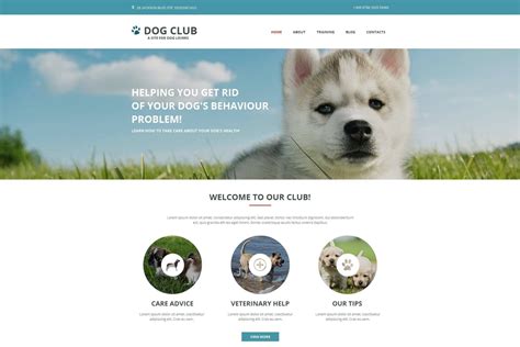 Dog Breeder Website Template Example