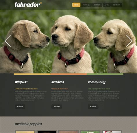 Dog Breeding Website Template 10