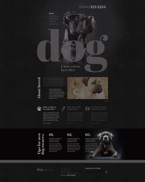 Dog Breeding Website Template 7