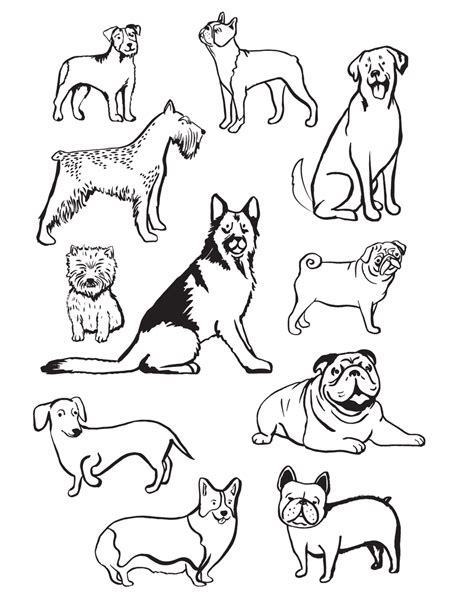 Dog breeds coloring page