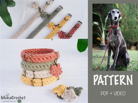 Dog collar pattern