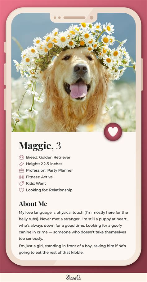 Dog Dating Profile Templates