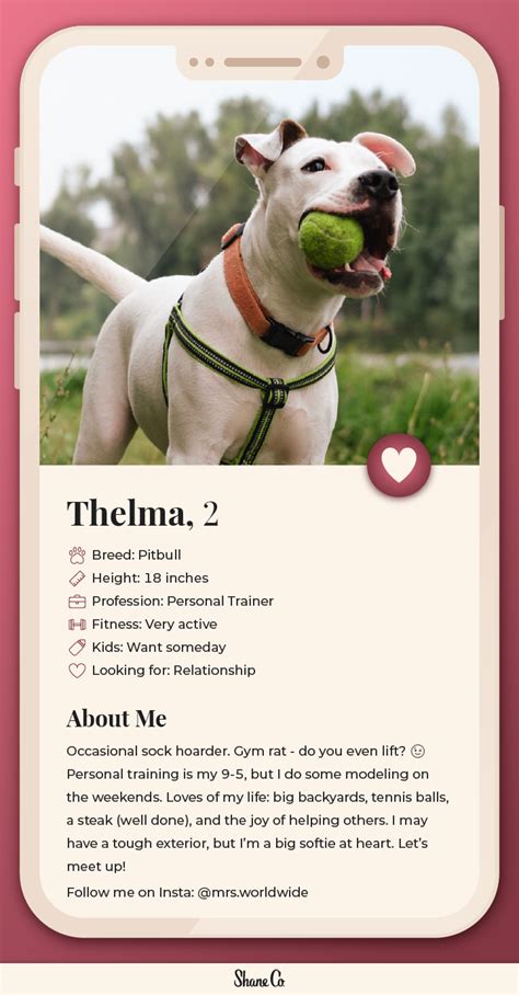 Dog Dating Profile Templates Word