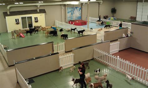 Dog daycare facility