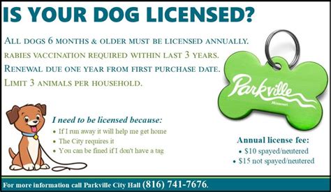 Licenses and permits for dog daycare business