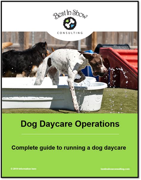 Dog daycare operations plan