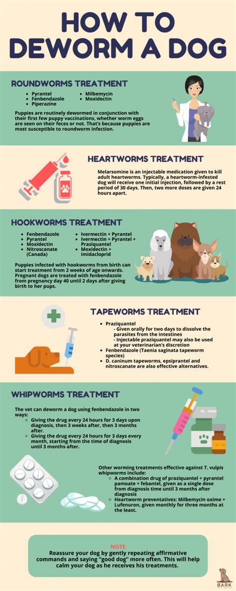 Dog deworming tips