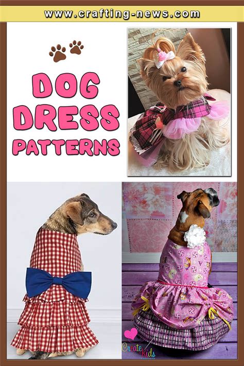 Dog dress template