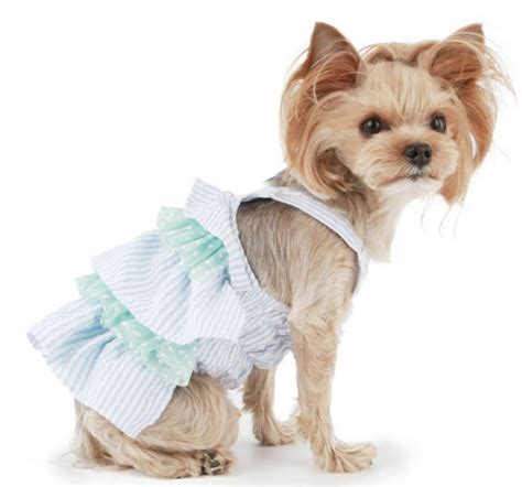 Dog Dress with Ruffles Pattern