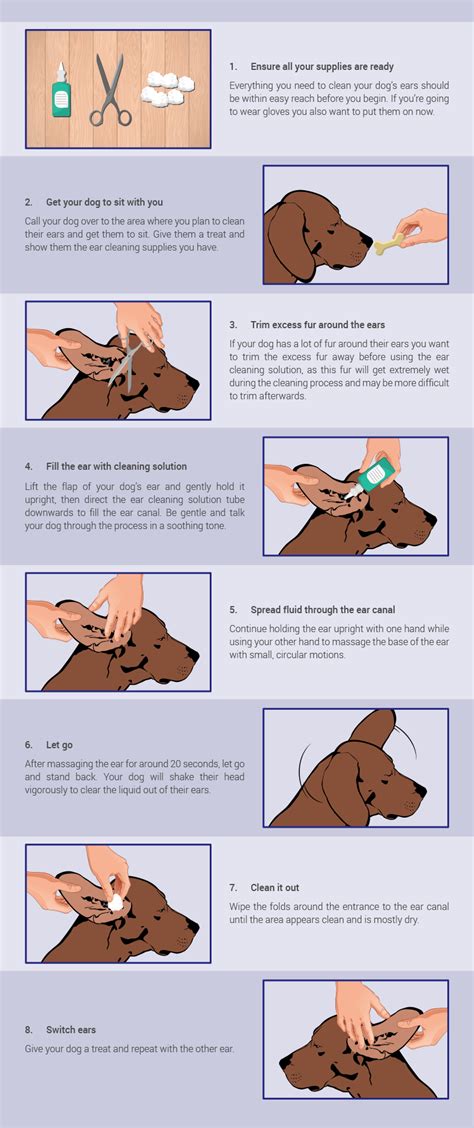 Dog Ear Cleaning Template with Measurement Guide Printable