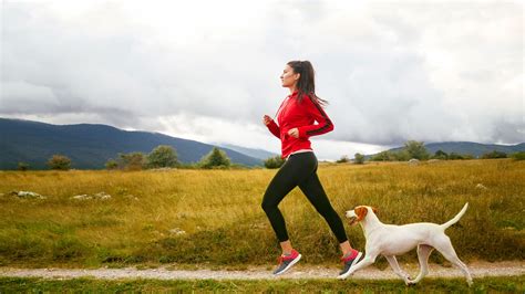 Dog Exercise and Physical Activity