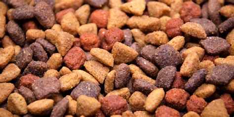 Dog Food 10