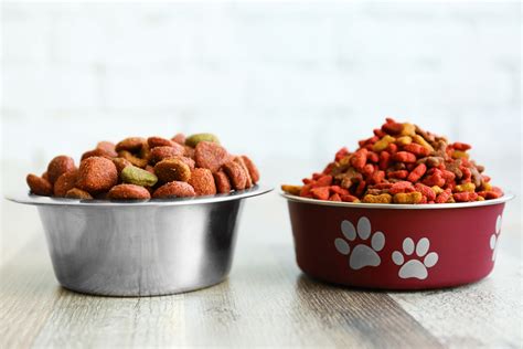 Budgeting for Fresh Dog Food